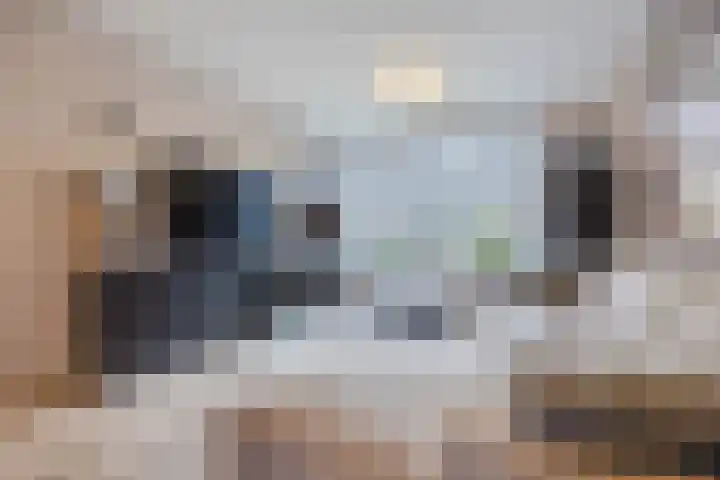 Azuurweg 216 Tilburg thumbnail 8