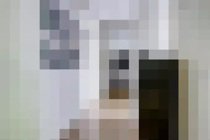 Azuurweg 238 Tilburg thumbnail 10