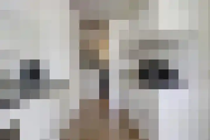 Azuurweg 238 Tilburg thumbnail 14