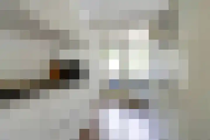 Azuurweg 238 Tilburg thumbnail 15