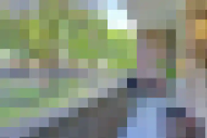 Azuurweg 238 Tilburg thumbnail 24
