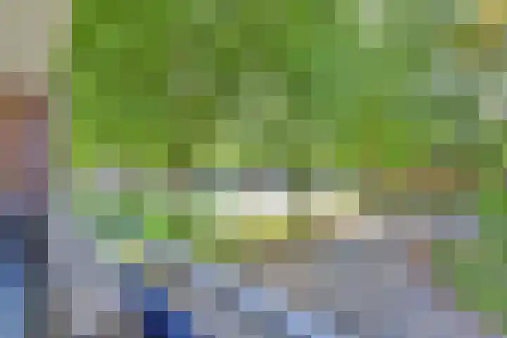 Azuurweg 238 Tilburg thumbnail 25