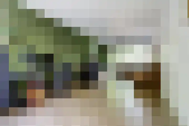 Azuurweg 238 Tilburg thumbnail 28