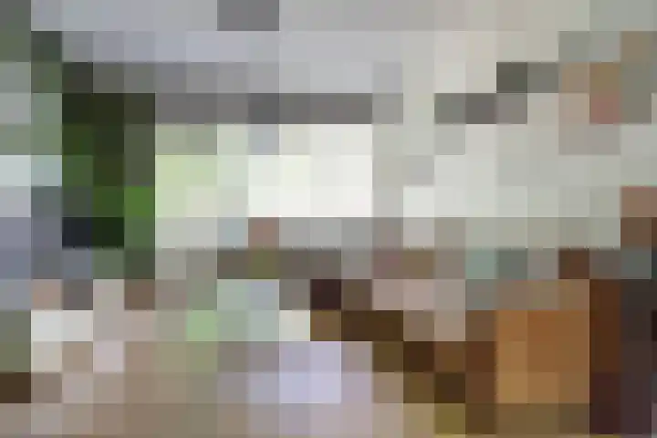 Azuurweg 238 Tilburg thumbnail 4