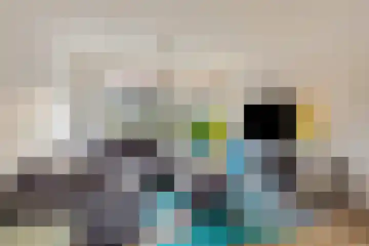 Azuurweg 272 Tilburg thumbnail 10