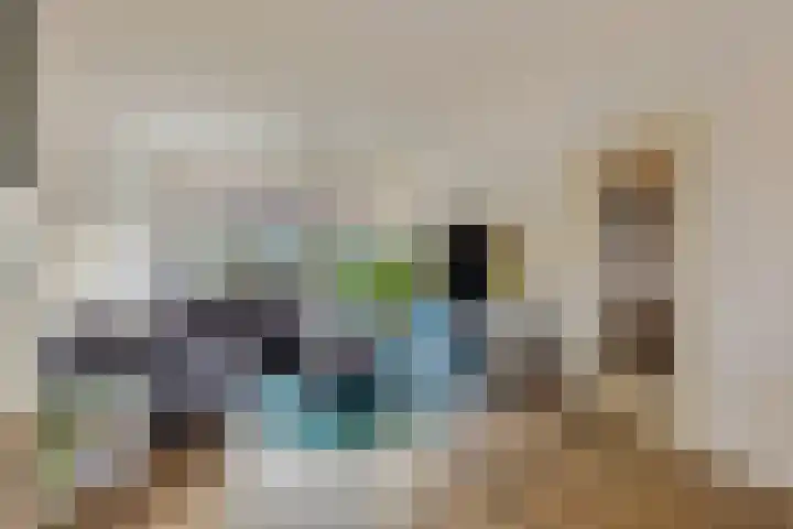 Azuurweg 272 Tilburg thumbnail 13