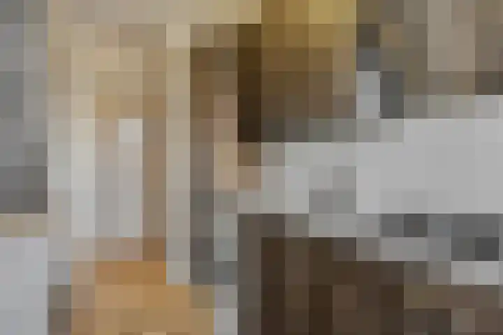 Azuurweg 272 Tilburg thumbnail 17