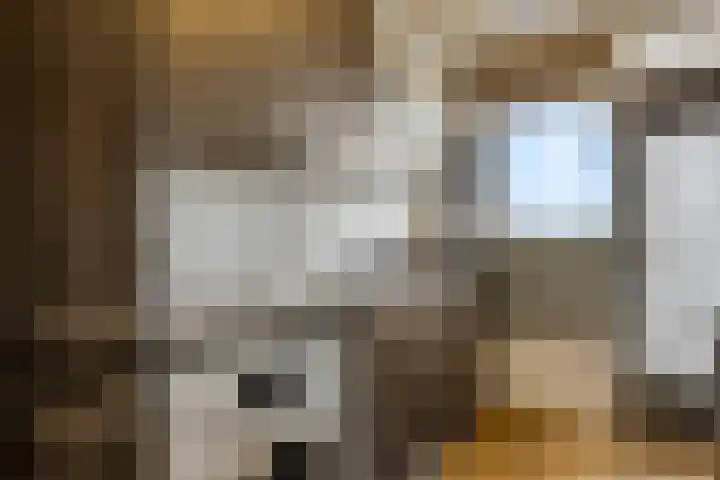Azuurweg 272 Tilburg thumbnail 18