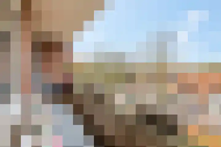 Azuurweg 272 Tilburg thumbnail 28