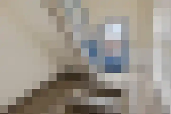Azuurweg 272 Tilburg thumbnail 32