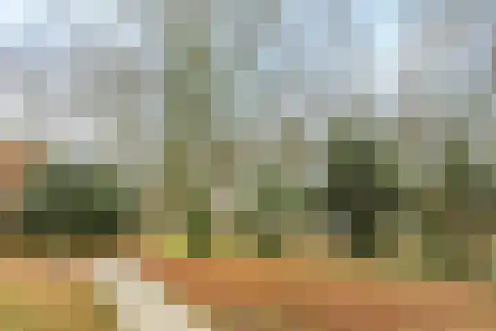 Azuurweg 272 Tilburg thumbnail 38