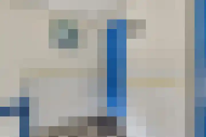 Azuurweg 272 Tilburg thumbnail 6