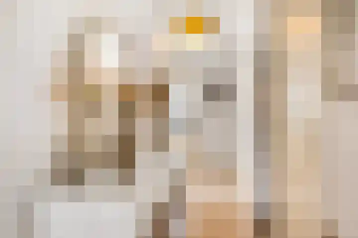 Azuurweg 298 Tilburg thumbnail 13