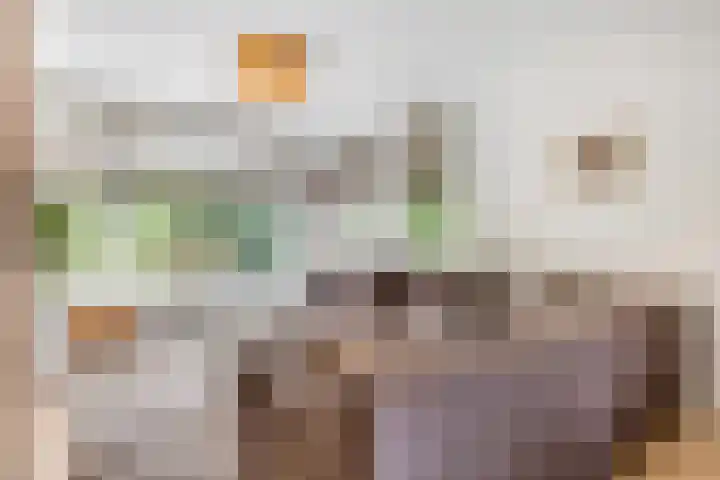 Azuurweg 298 Tilburg thumbnail 15