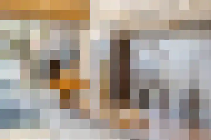Azuurweg 298 Tilburg thumbnail 21