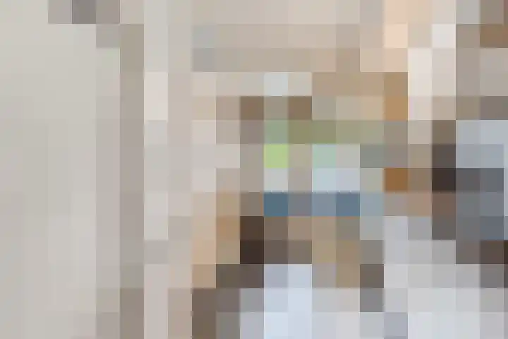 Azuurweg 298 Tilburg thumbnail 22