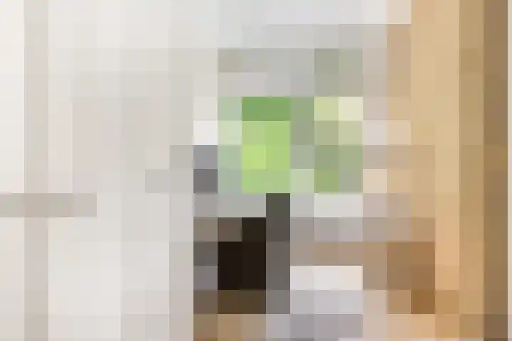 Azuurweg 298 Tilburg thumbnail 27