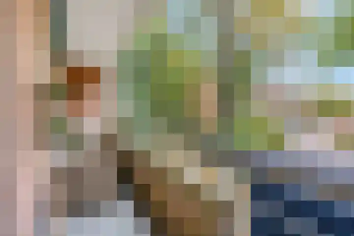 Azuurweg 298 Tilburg thumbnail 30