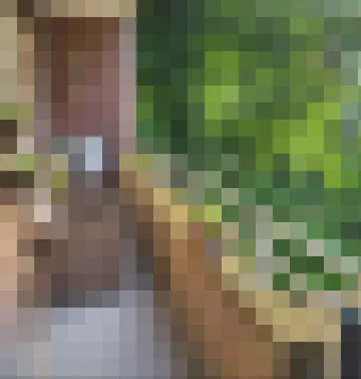 Azuurweg 298 Tilburg thumbnail 31