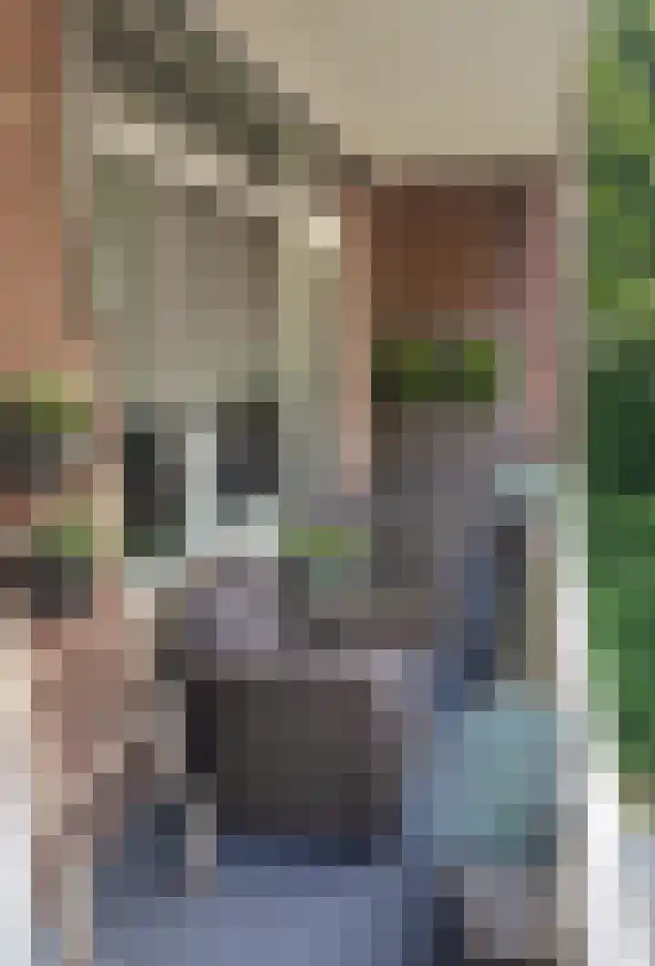 Azuurweg 298 Tilburg thumbnail 32