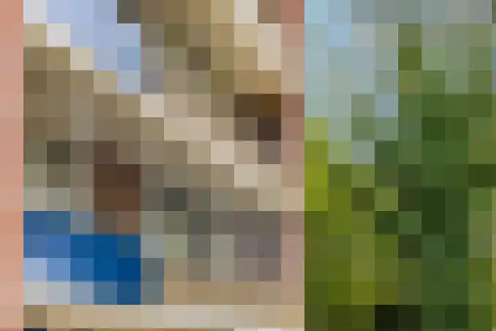 Azuurweg 298 Tilburg thumbnail 37