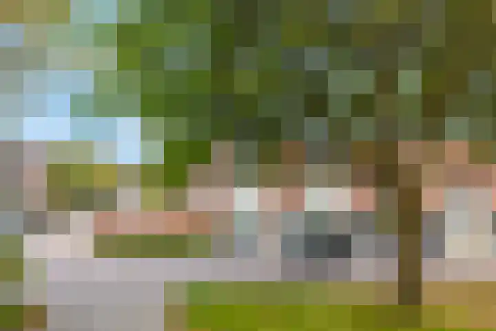 Azuurweg 298 Tilburg thumbnail 39
