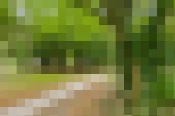 Azuurweg 298 Tilburg thumbnail 41