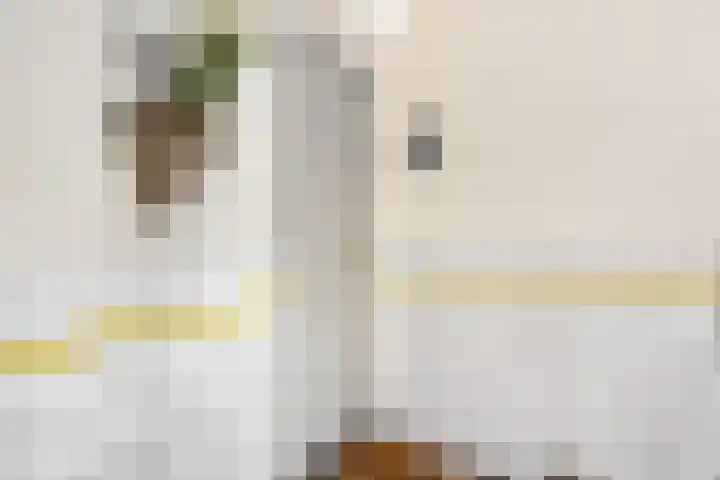 Azuurweg 298 Tilburg thumbnail 8
