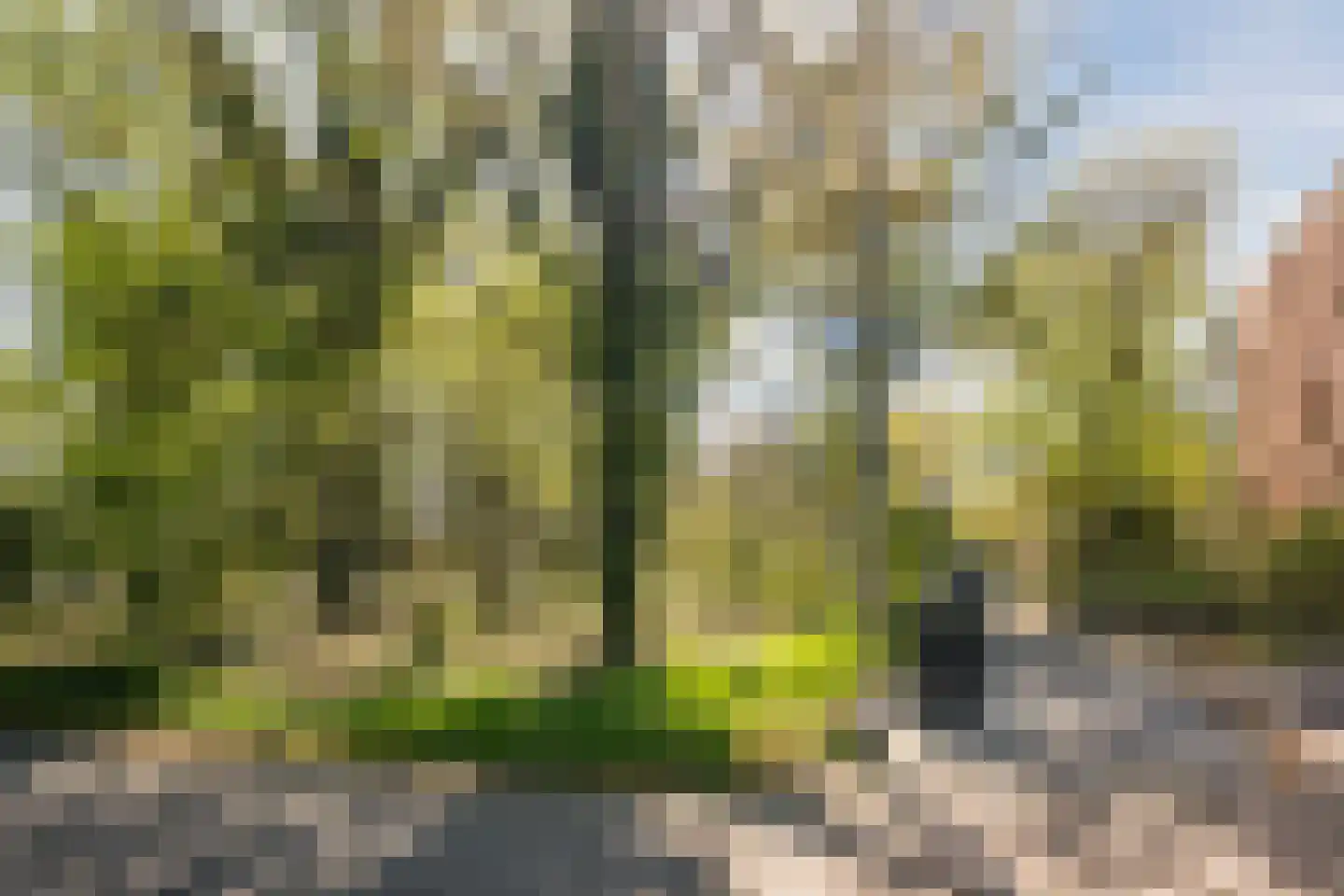 Azuurweg 336 Tilburg thumbnail 10