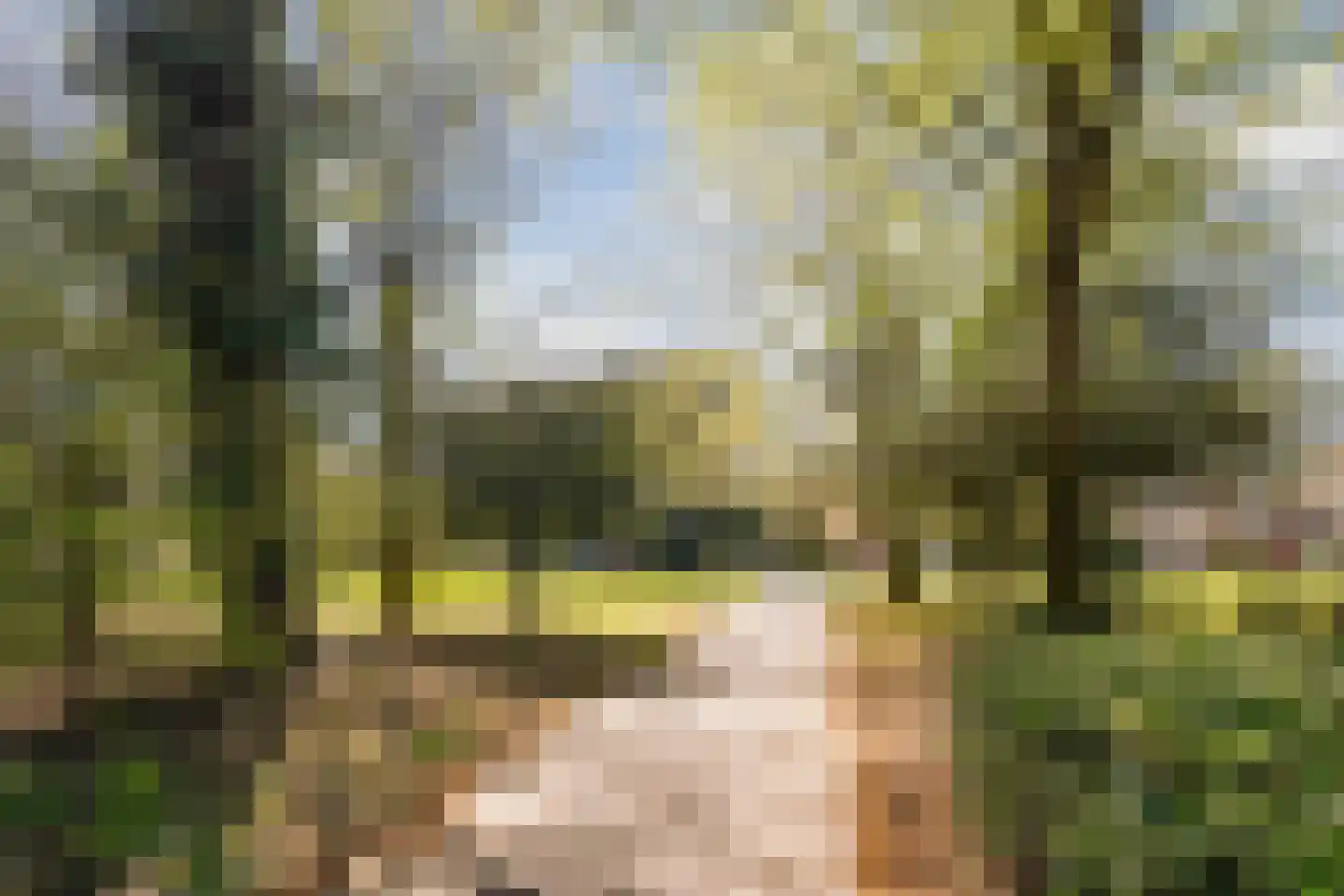 Azuurweg 336 Tilburg thumbnail 51
