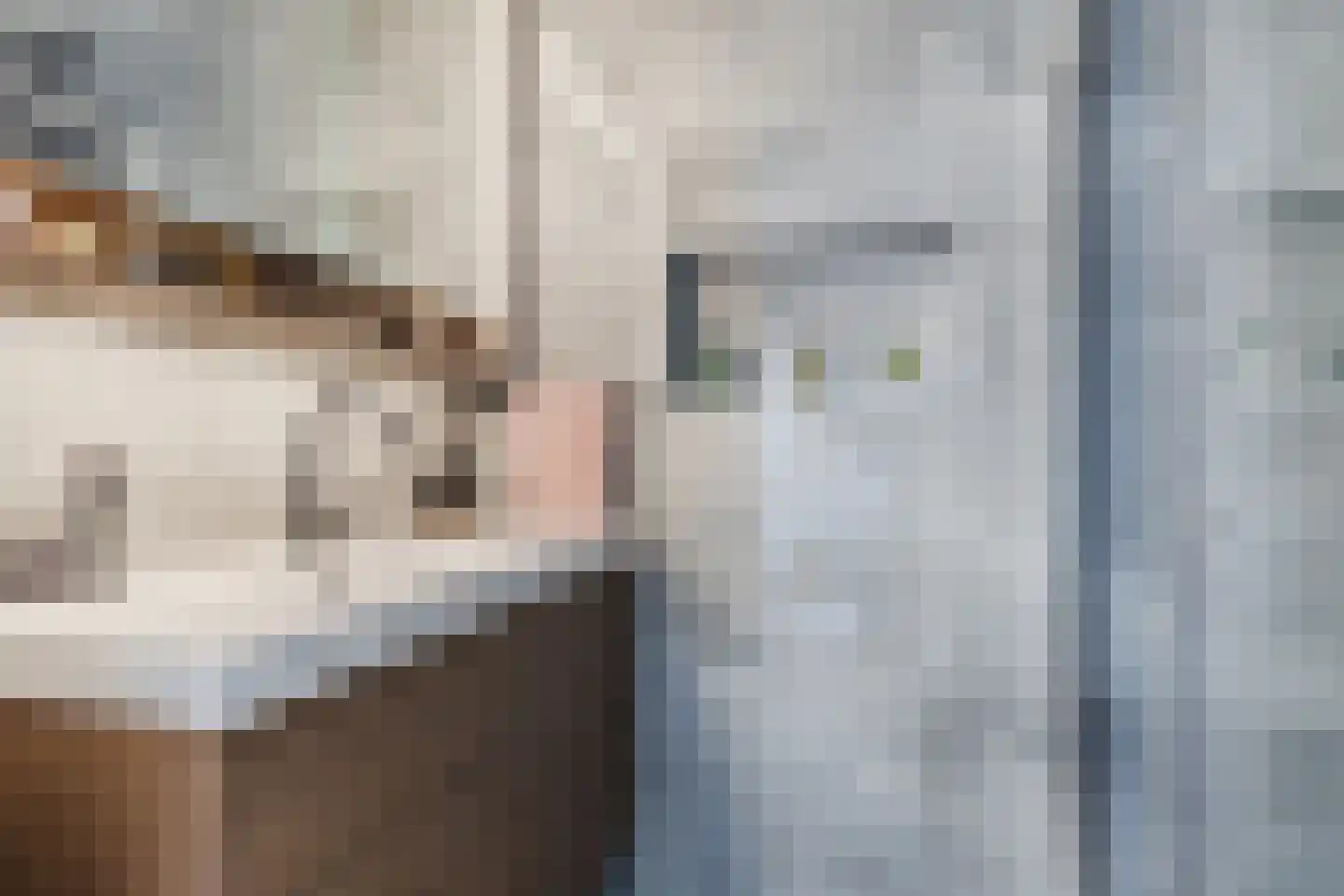 Azuurweg 350 Tilburg thumbnail 18