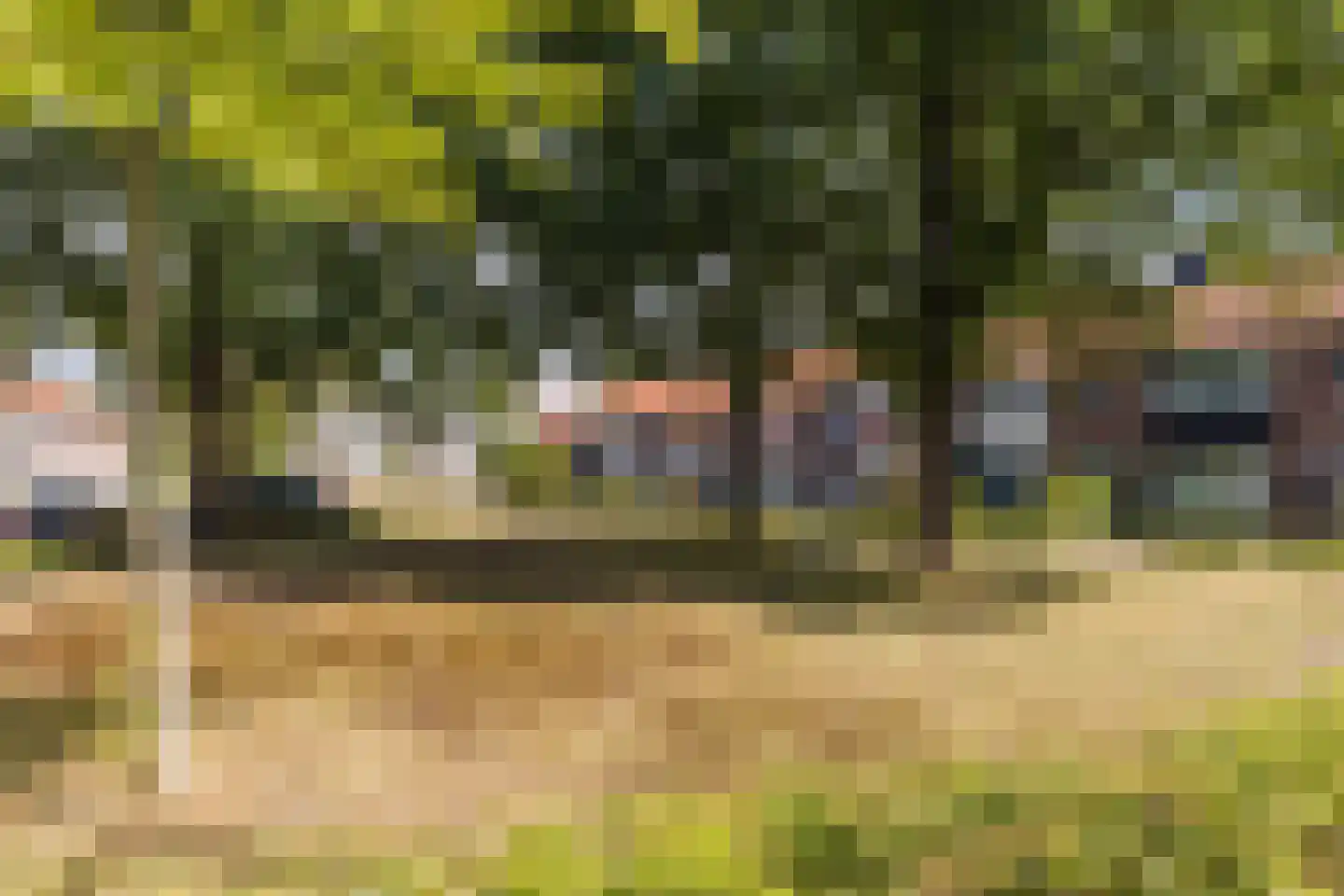 Azuurweg 350 Tilburg thumbnail 23