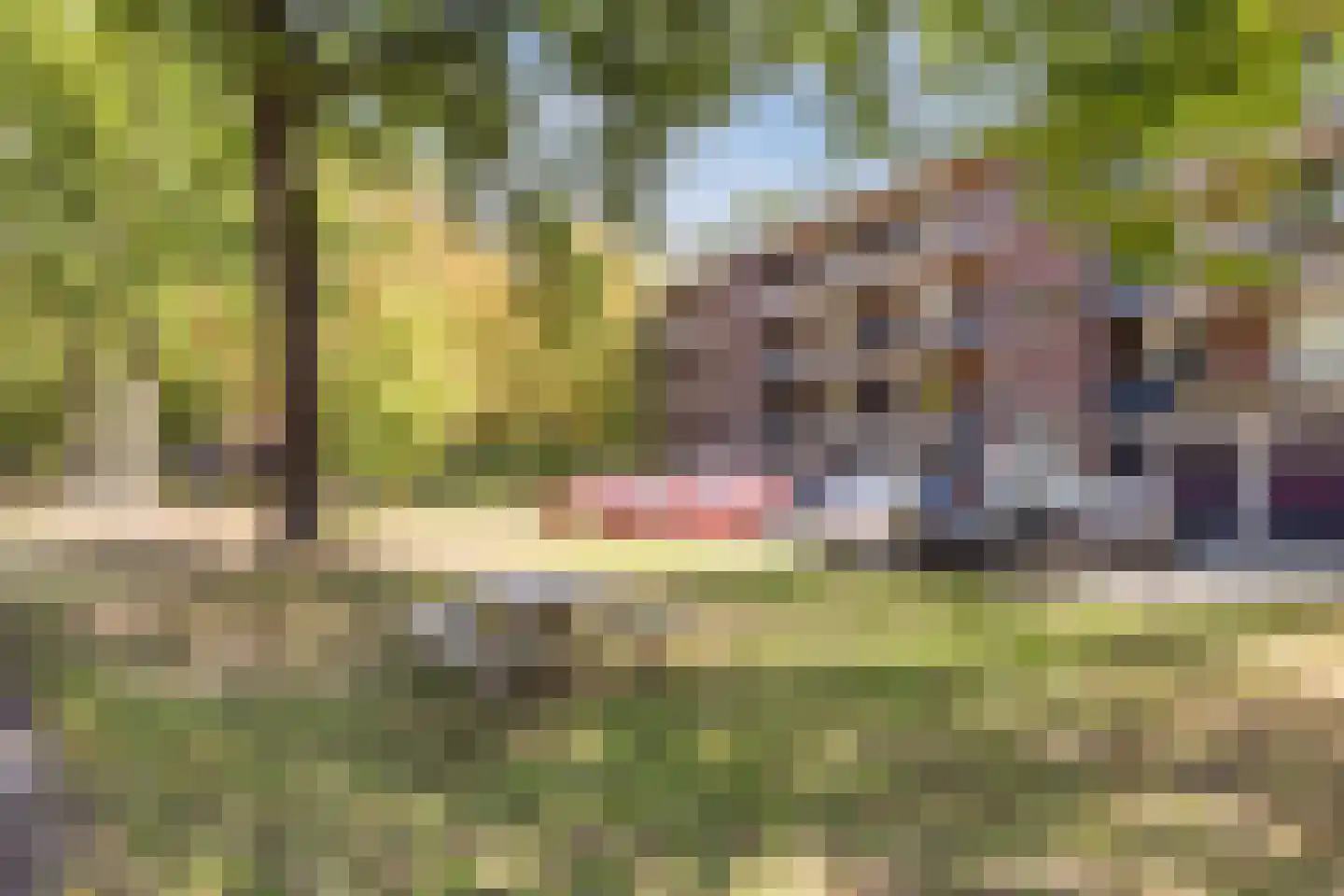 Azuurweg 350 Tilburg thumbnail 24
