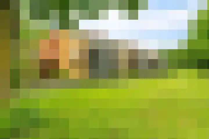 B.A.A. Engelbertinklaan 12 Oldenzaal thumbnail 34