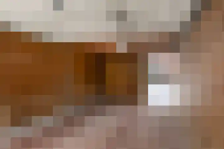 B.A.A. Engelbertinklaan 132 Oldenzaal thumbnail 28