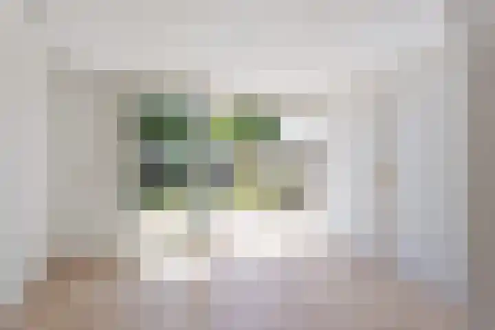 B.A.A. Engelbertinklaan 3 Oldenzaal thumbnail 10
