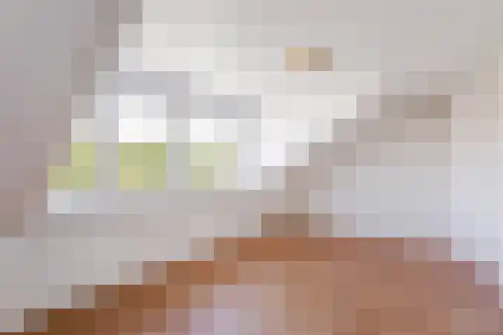 B.A.A. Engelbertinklaan 3 Oldenzaal thumbnail 16