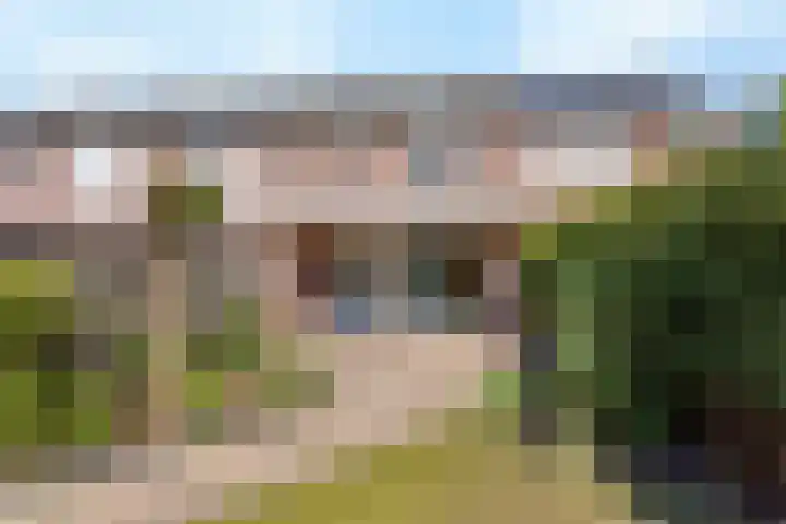 B.A.A. Engelbertinklaan 3 Oldenzaal thumbnail 17