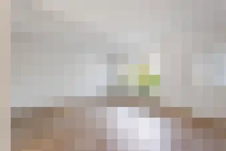 B.A.A. Engelbertinklaan 3 Oldenzaal thumbnail 6
