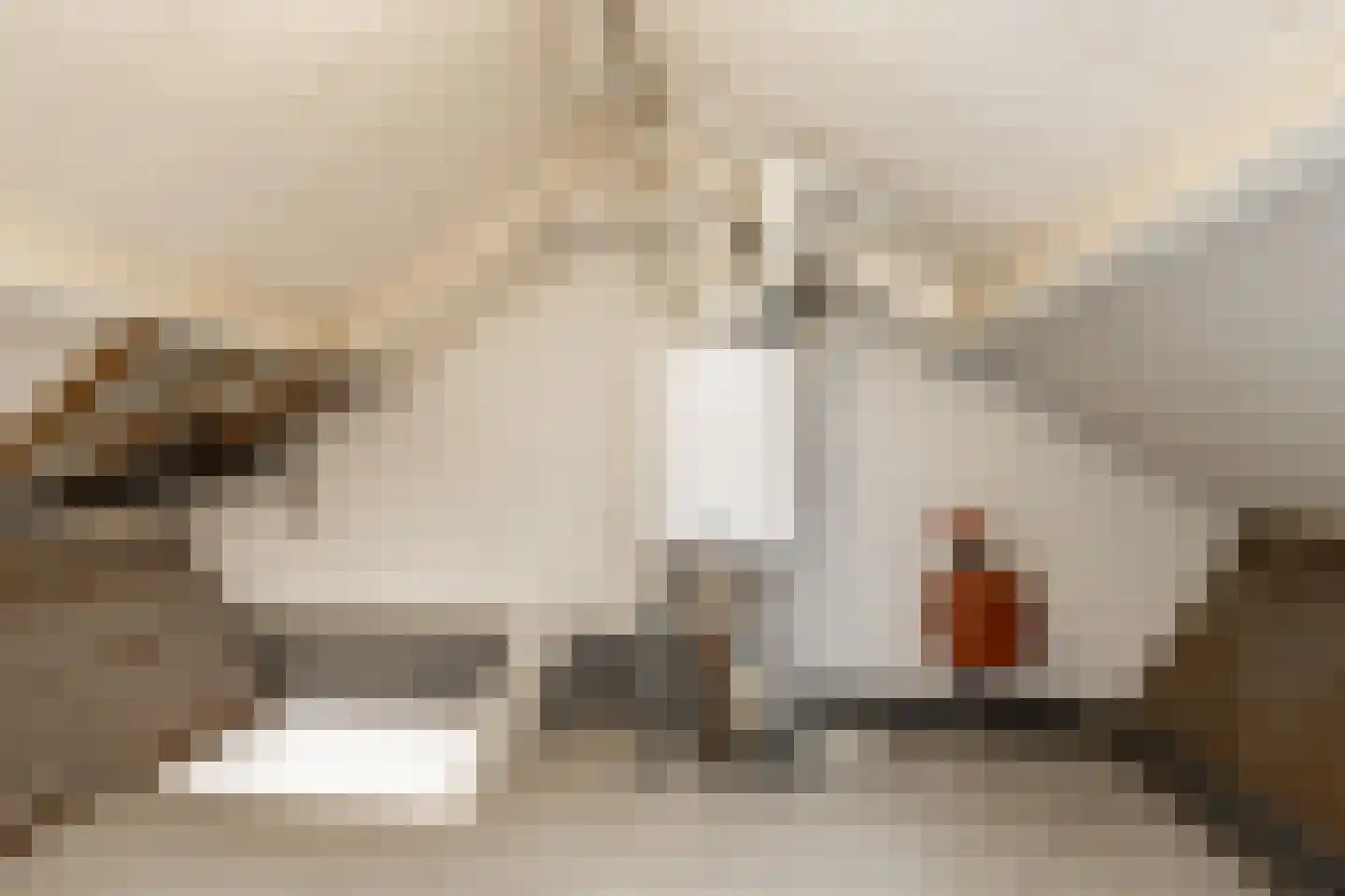 B.A. van der Colffstraat 3 Woudrichem thumbnail 30