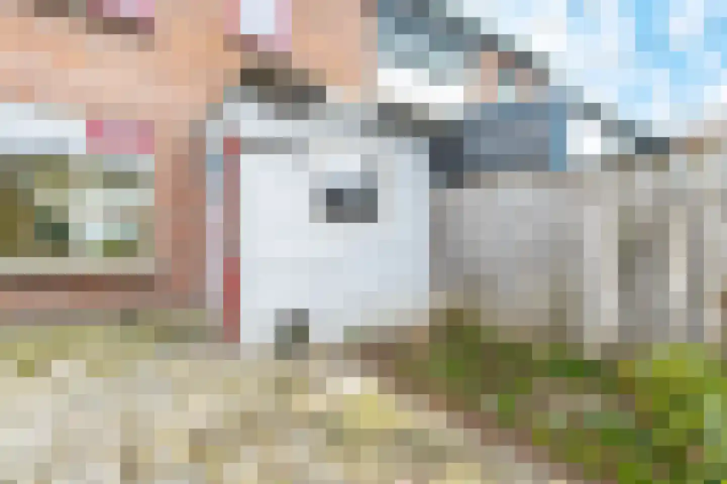 B.A. van der Colffstraat 3 Woudrichem thumbnail 36