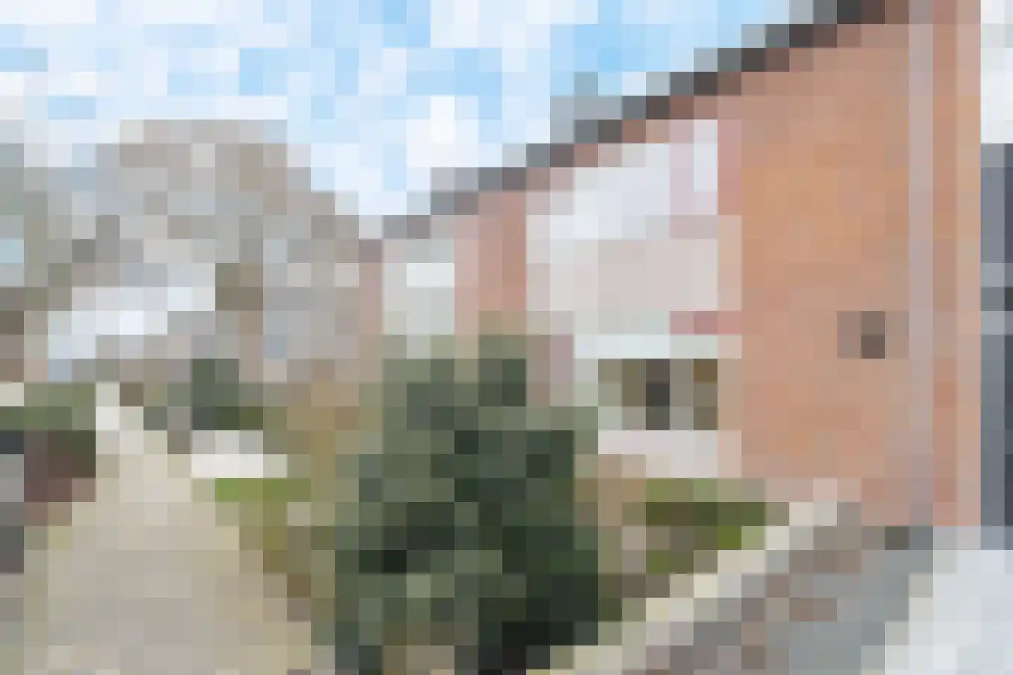 B.A. van der Colffstraat 3 Woudrichem thumbnail 8