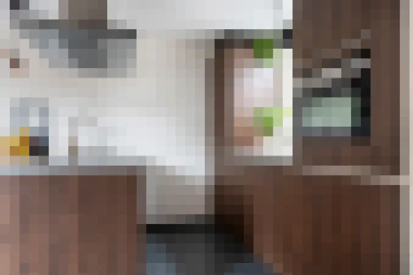 B. Assenweg 6 Witteveen thumbnail 16