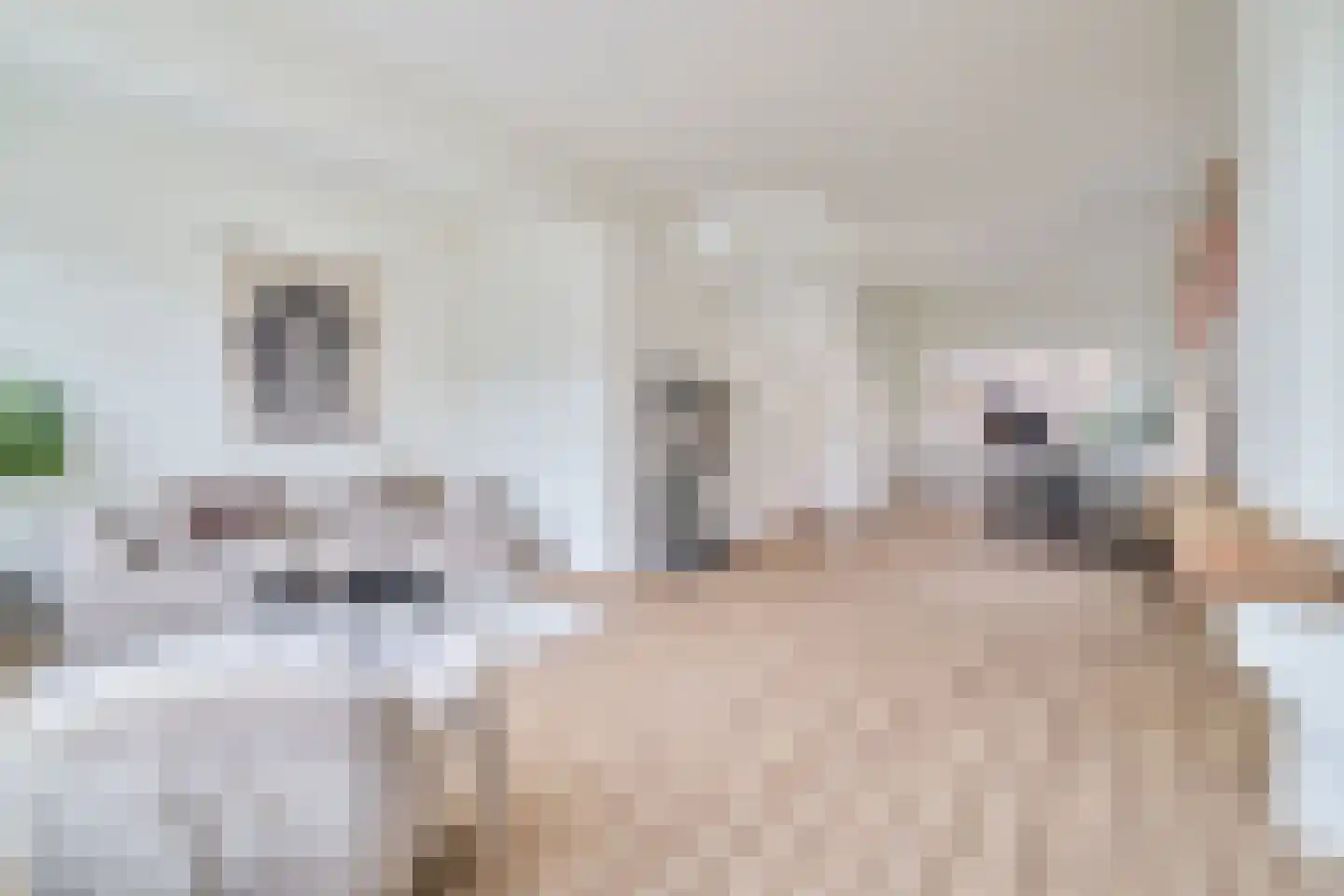 B.F. Suermanstraat 25 Utrecht thumbnail 6