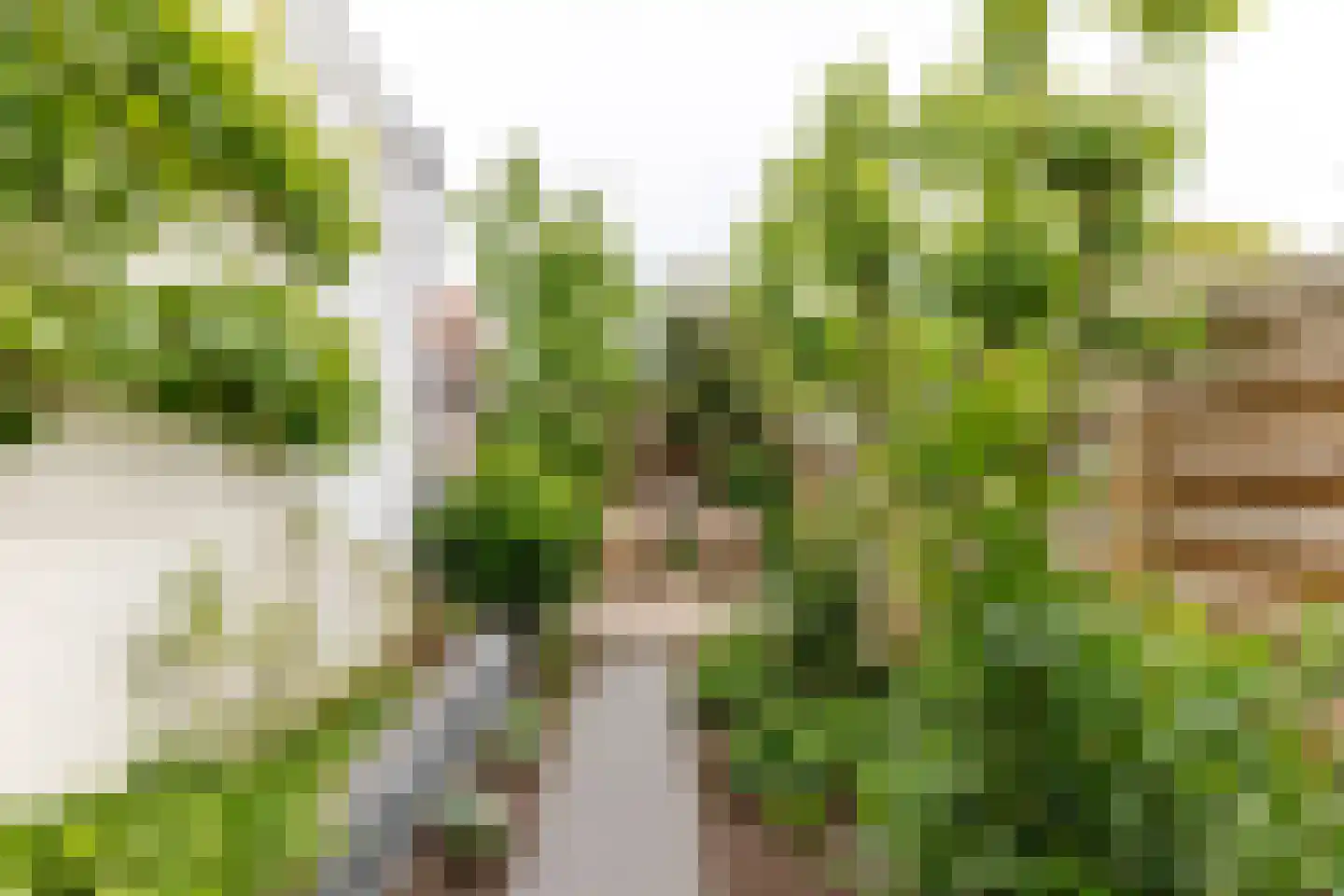 B.F. Suermanstraat 9 Utrecht thumbnail 15