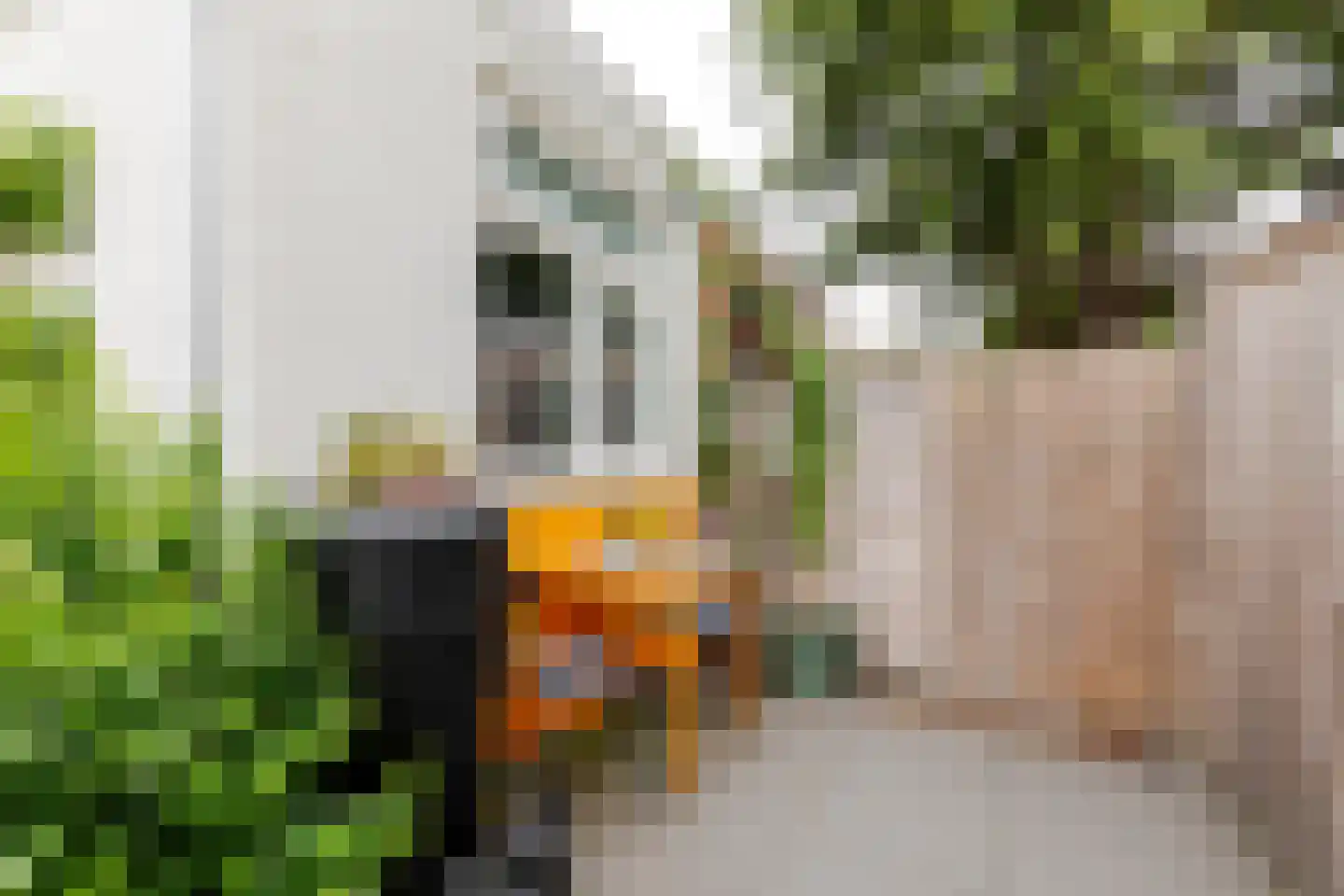 B.F. Suermanstraat 9 Utrecht thumbnail 17