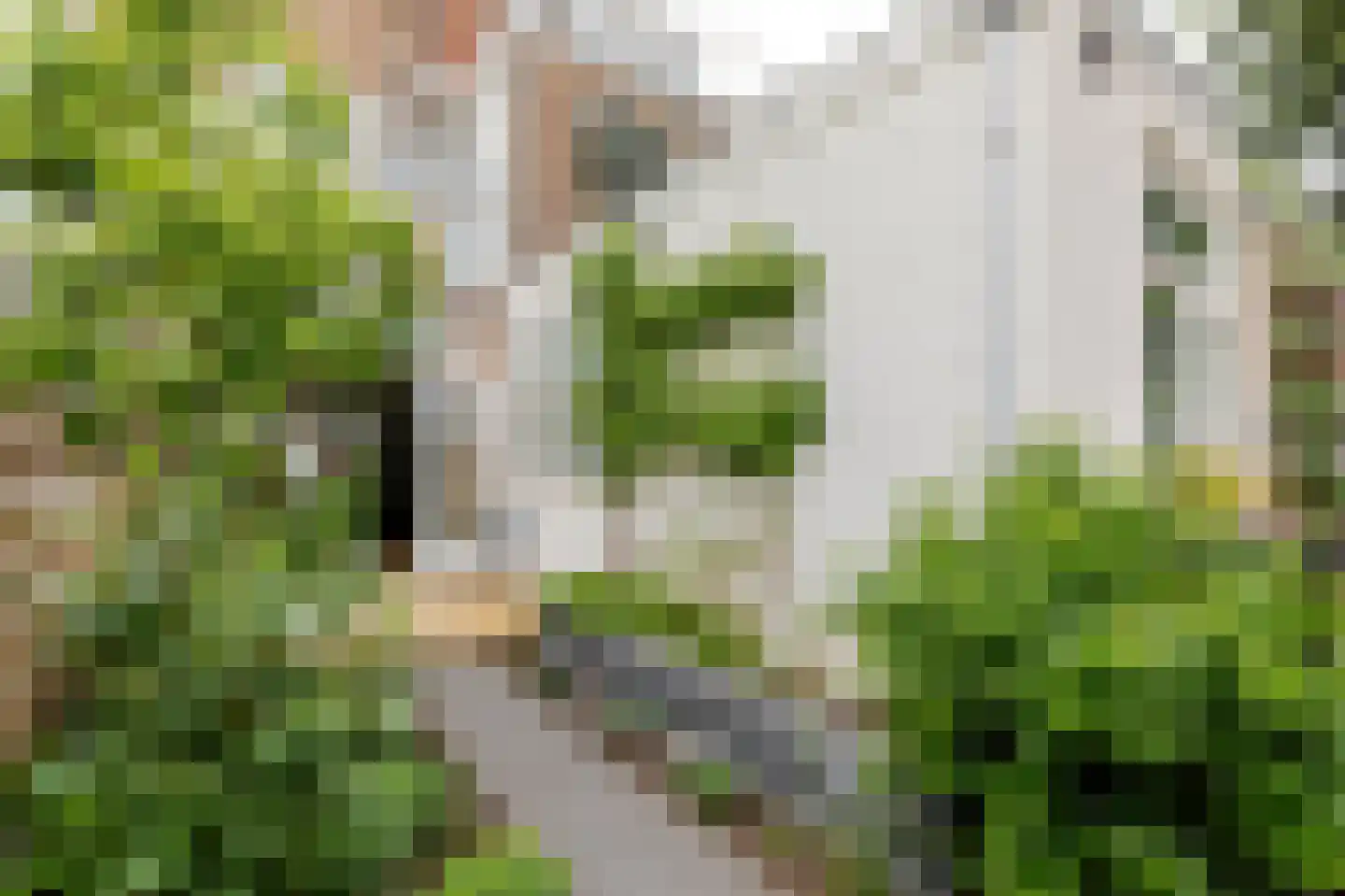 B.F. Suermanstraat 9 Utrecht thumbnail 19