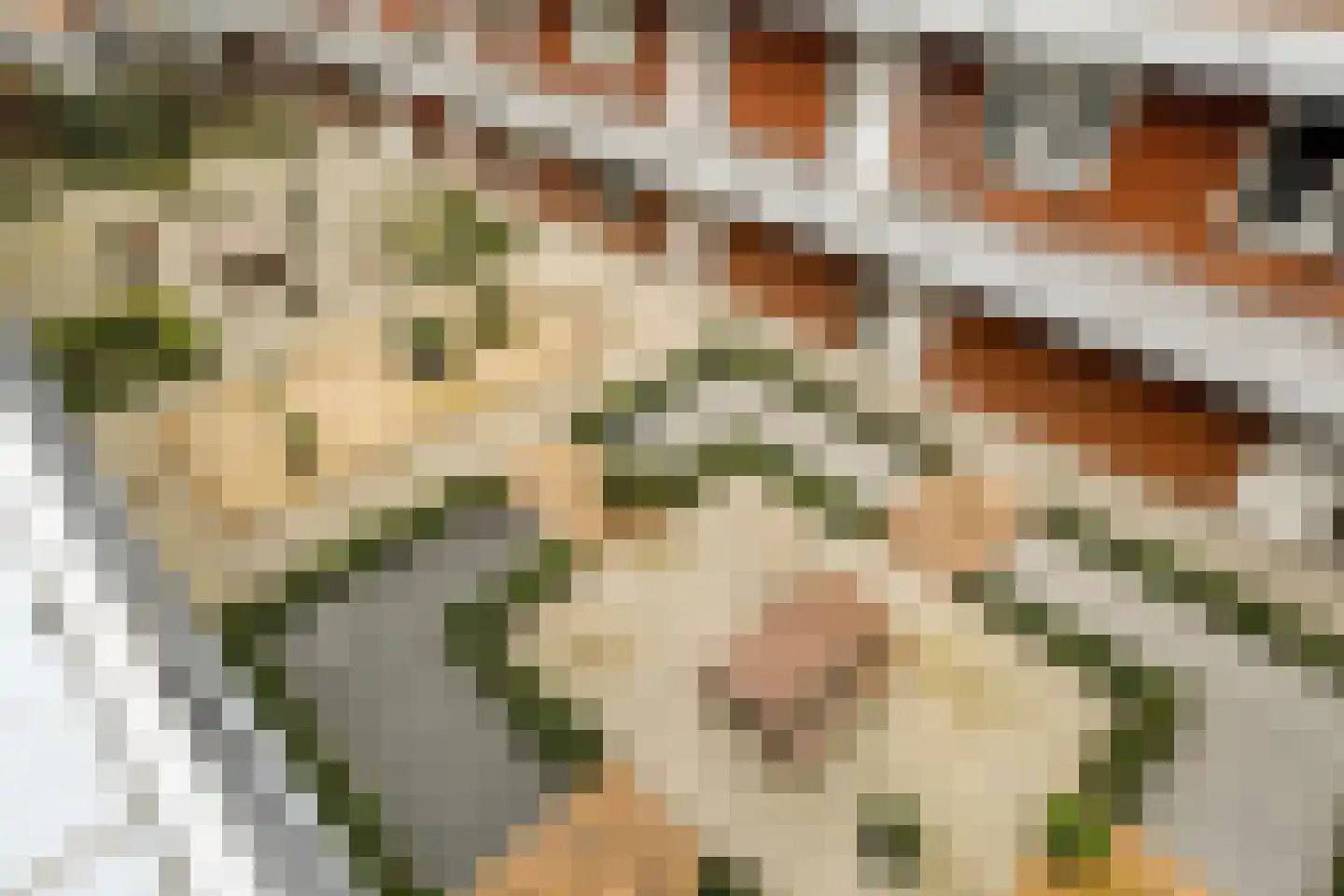 B.G.J. Berntzenstraat 53 Sassenheim thumbnail 19