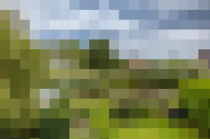 B.H. Broekemastraat 24 Winsum thumbnail 32