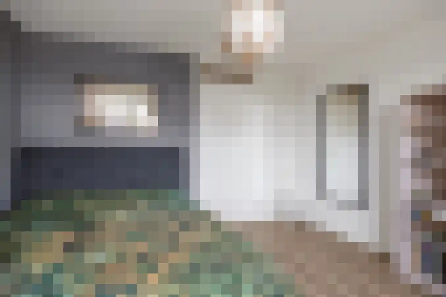 B.H. Broekemastraat 6 Winsum thumbnail 36